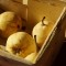 Clafoutis Poires & Pruneaux