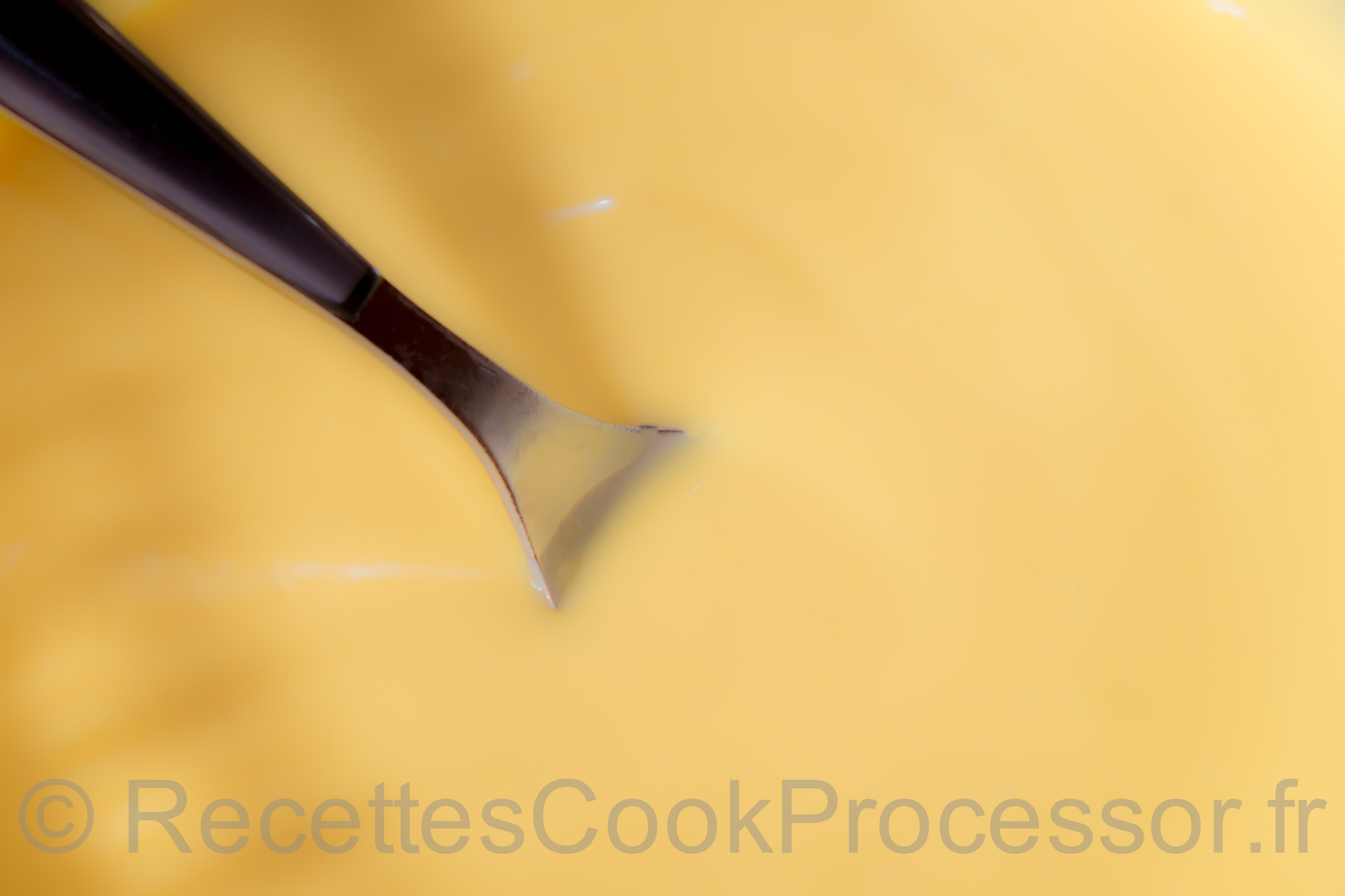 Crème Pâtissière au Cook Processor de KitchenAid