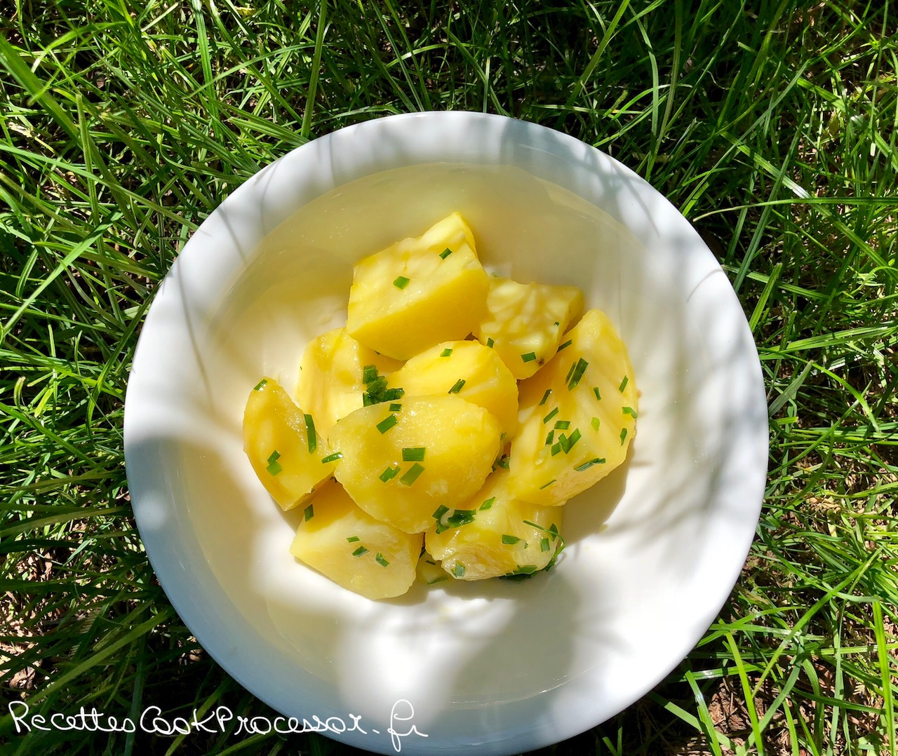 Pommes de terre Vapeur